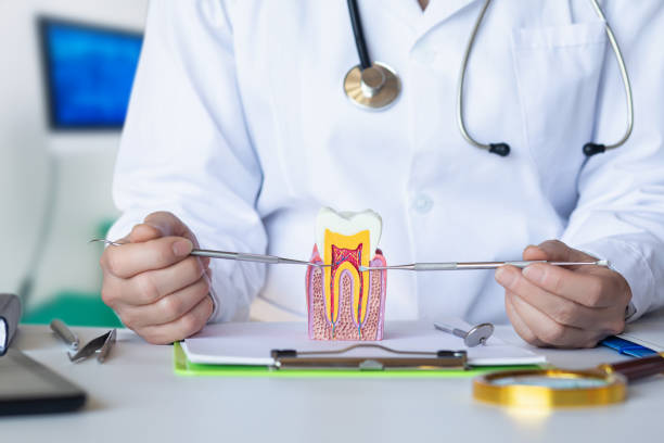 Best Emergency Cosmetic Dentistry (e.g., broken veneers) in Ore City, TX